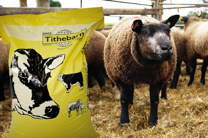 Sheep Minerals