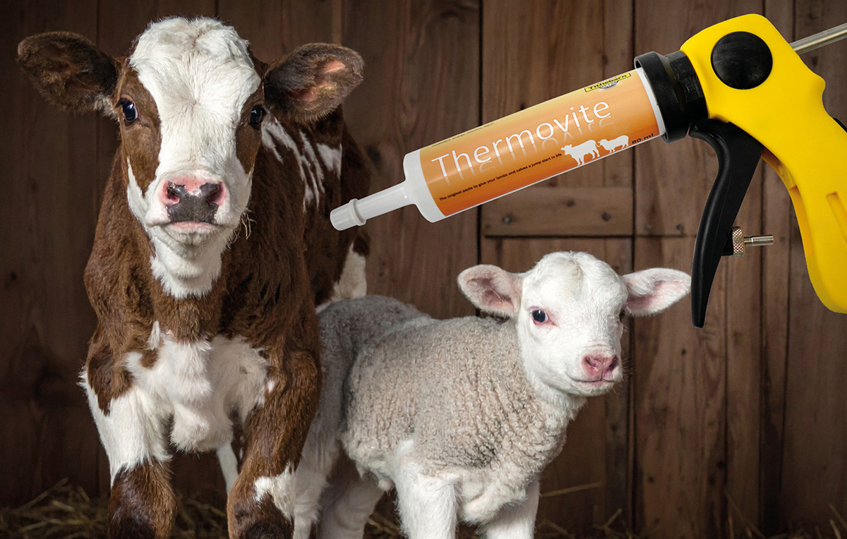 thermovite-main Thermovite